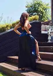 Goa escorts services 